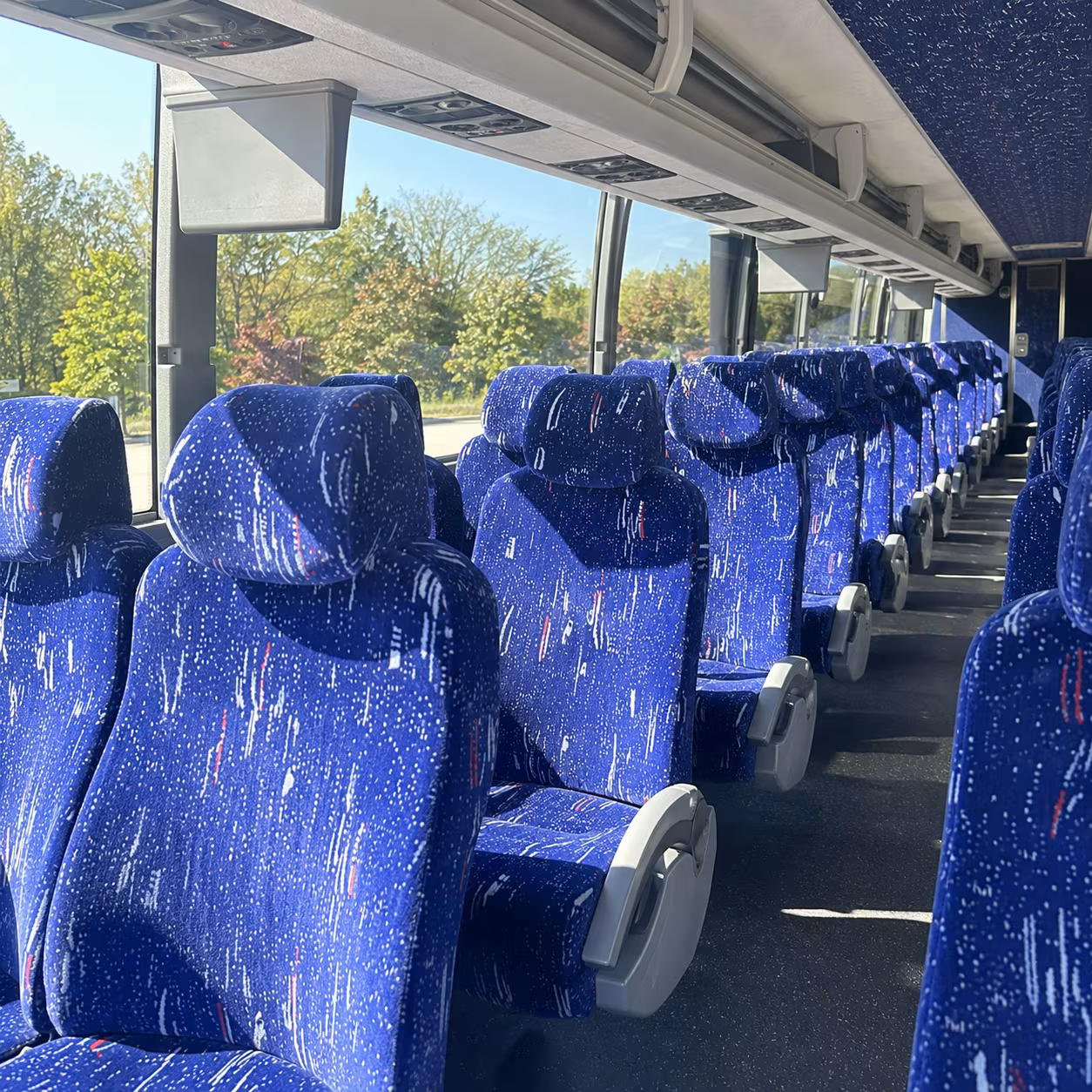 clovis bachelor bachelorette transportation
